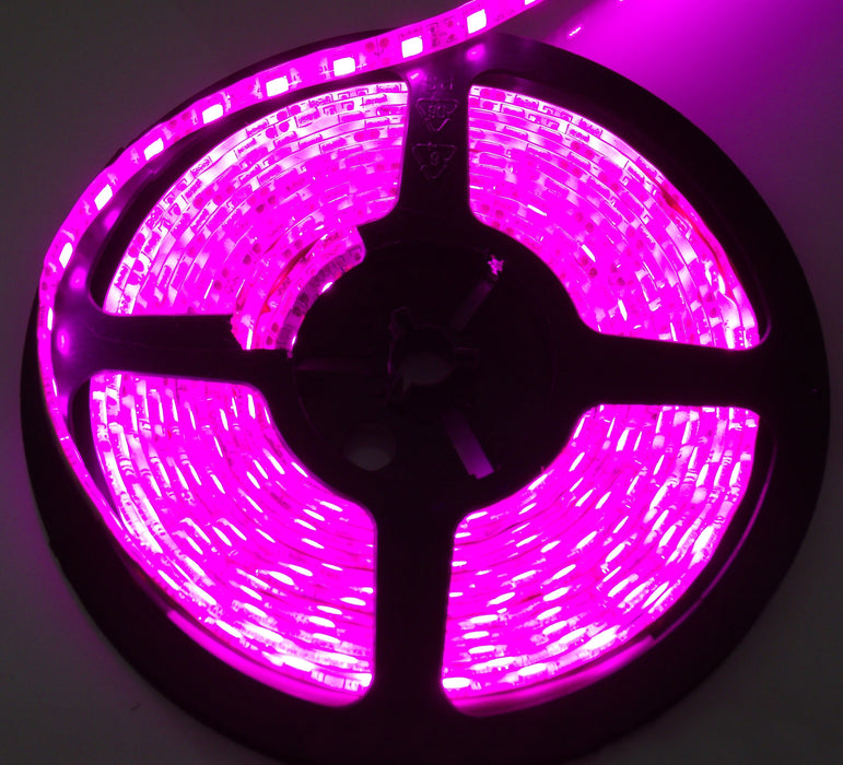 Purple 5M / 16 ft of 5050 Tape Strip Light - 300 LEDs per reel